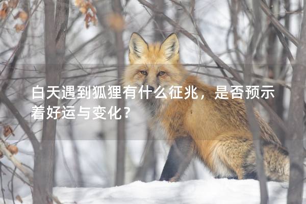 白天遇到狐貍有什么征兆，是否預示著好運與變化？